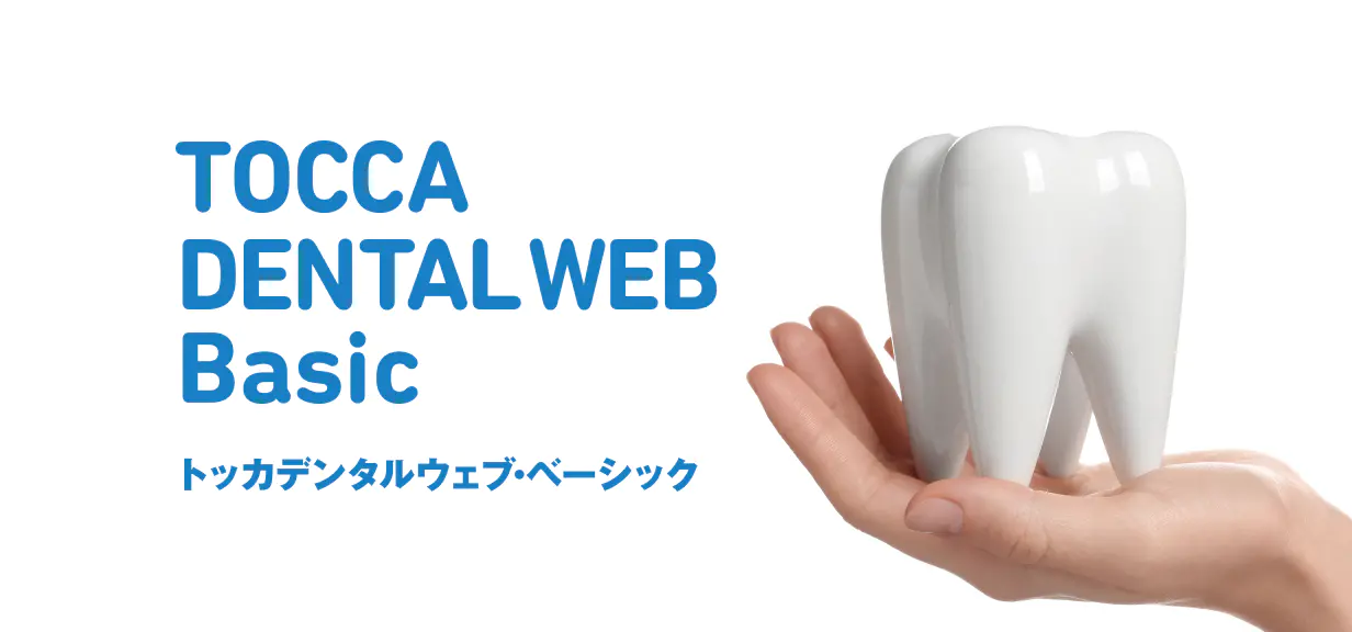 TOCCA DENTAL WEB BASIC